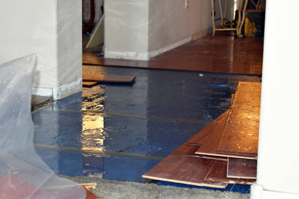 Professional Basement Water Removal technician working in Franklin, NH