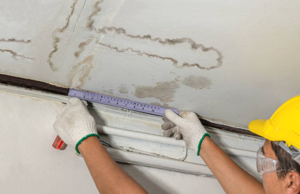 Reliable Basement Water Removal contractor in Franklin, NH by Water Damage Irwin